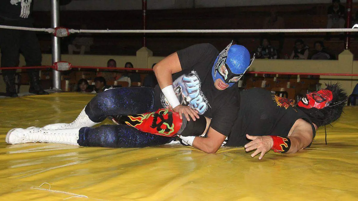 LUCHAS WEB